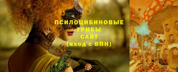 прущая мука Приозерск