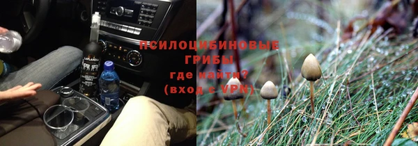 а пвп мука Алзамай
