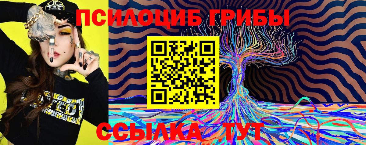Ревда  Галлюциногенные грибы MAGIC MUSHROOMS  Псилоцибиновые грибы прущие грибы  Вход с VPN 