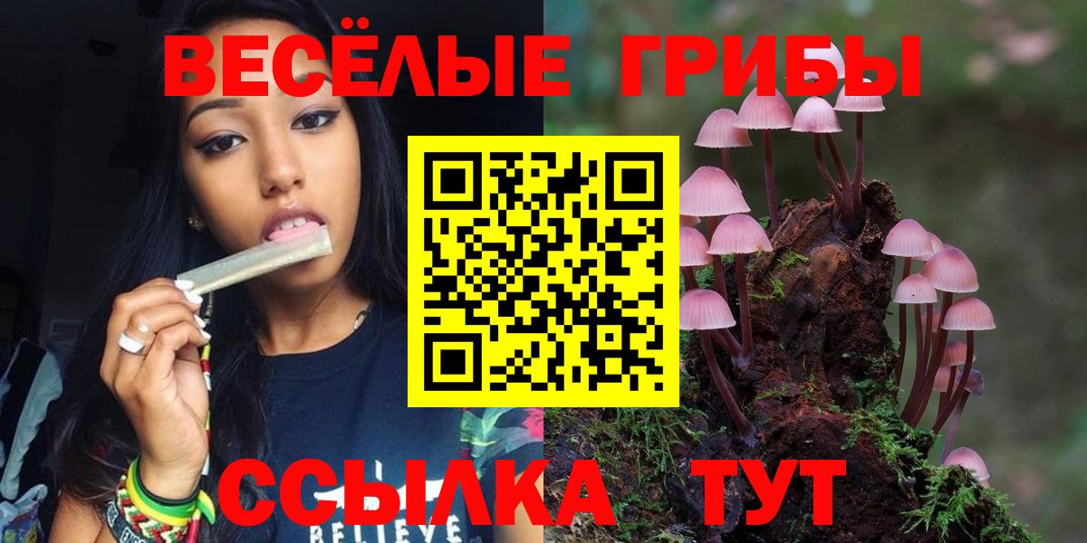 Псилоцибиновые грибы MAGIC MUSHROOMS Ревда